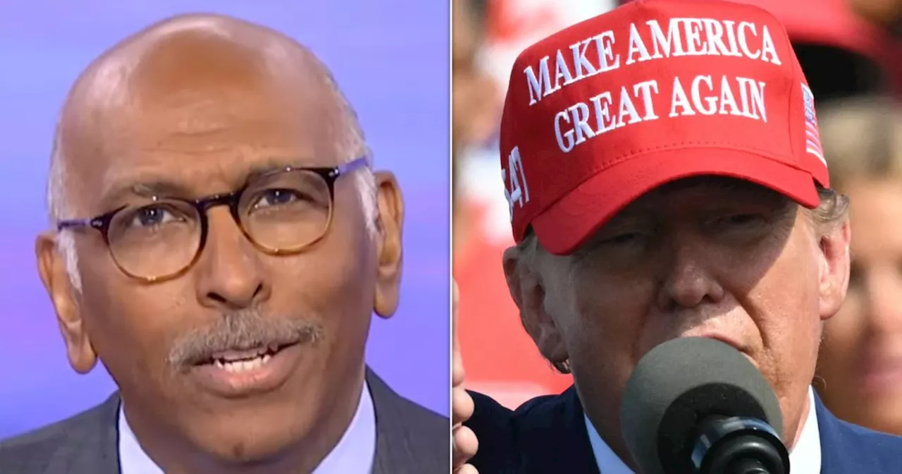 Ex-RNC Chair Picks Apart 'Word Salad' From 'Particularly Unhinged' Trump Rally