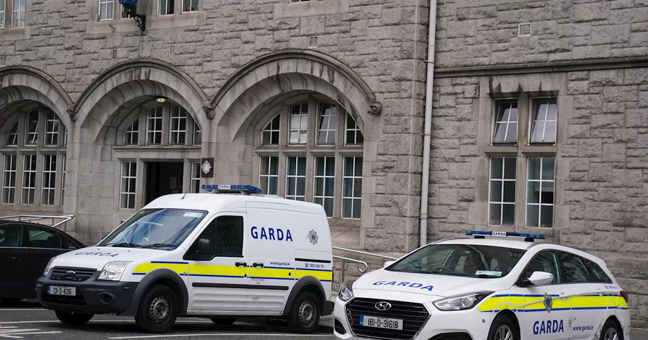 Almost €1m spent by Garda on cars to transport Ministers