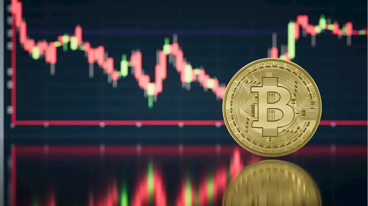 Crypto volatility declines as BTC and alts coil tighter, large caps dominate equities