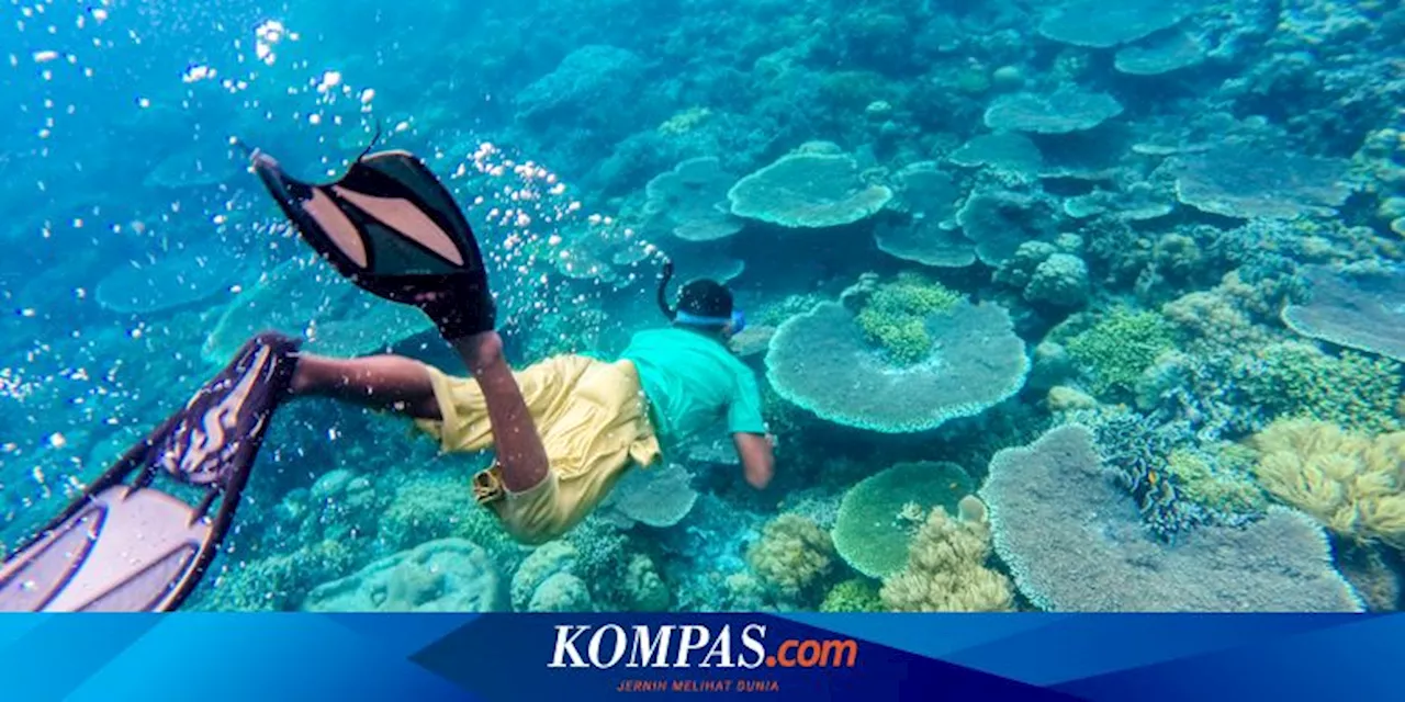 Perubahan Iklim Sebabkan Penurunan Kadar Oksigen di Bawah Laut