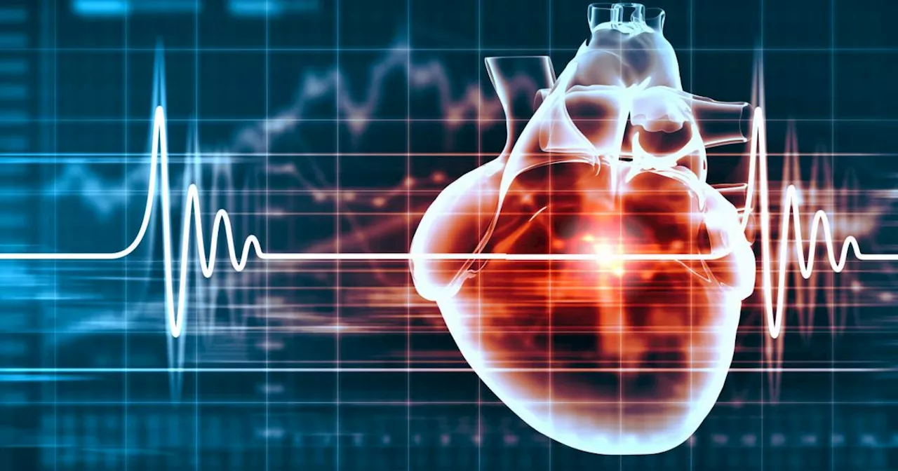 Hoffnung bei Herzschwäche: Forscher konnten erstmals Zellen regenerieren