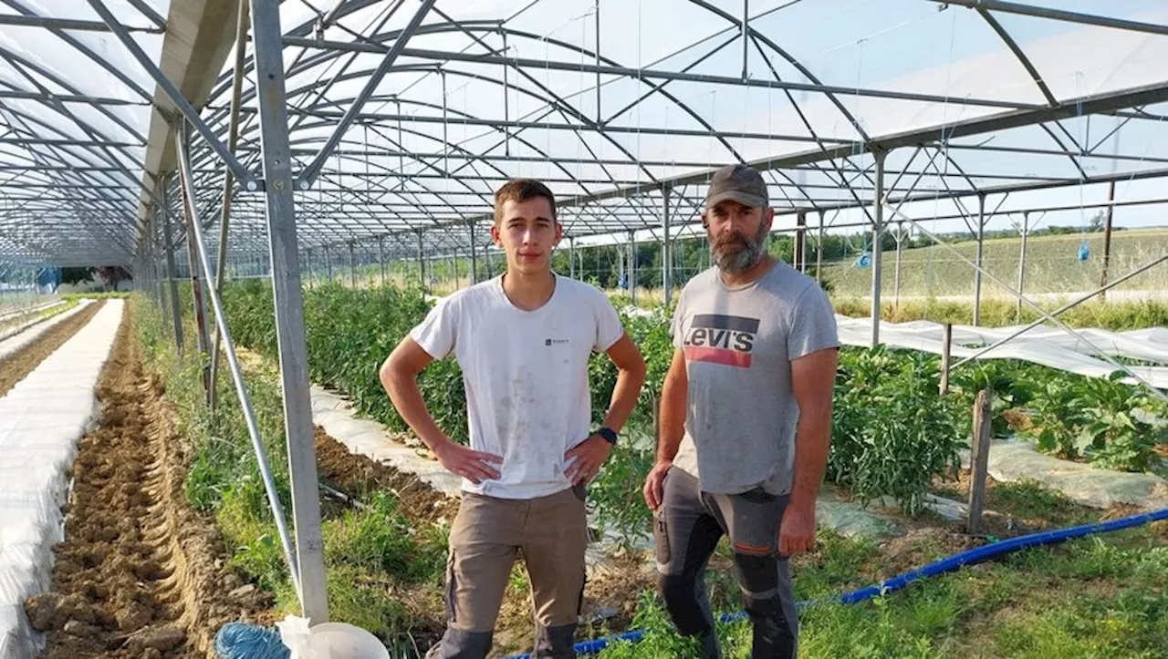 Auvillar : dans la ferme des Dussac un an après la tempête de juin 2023