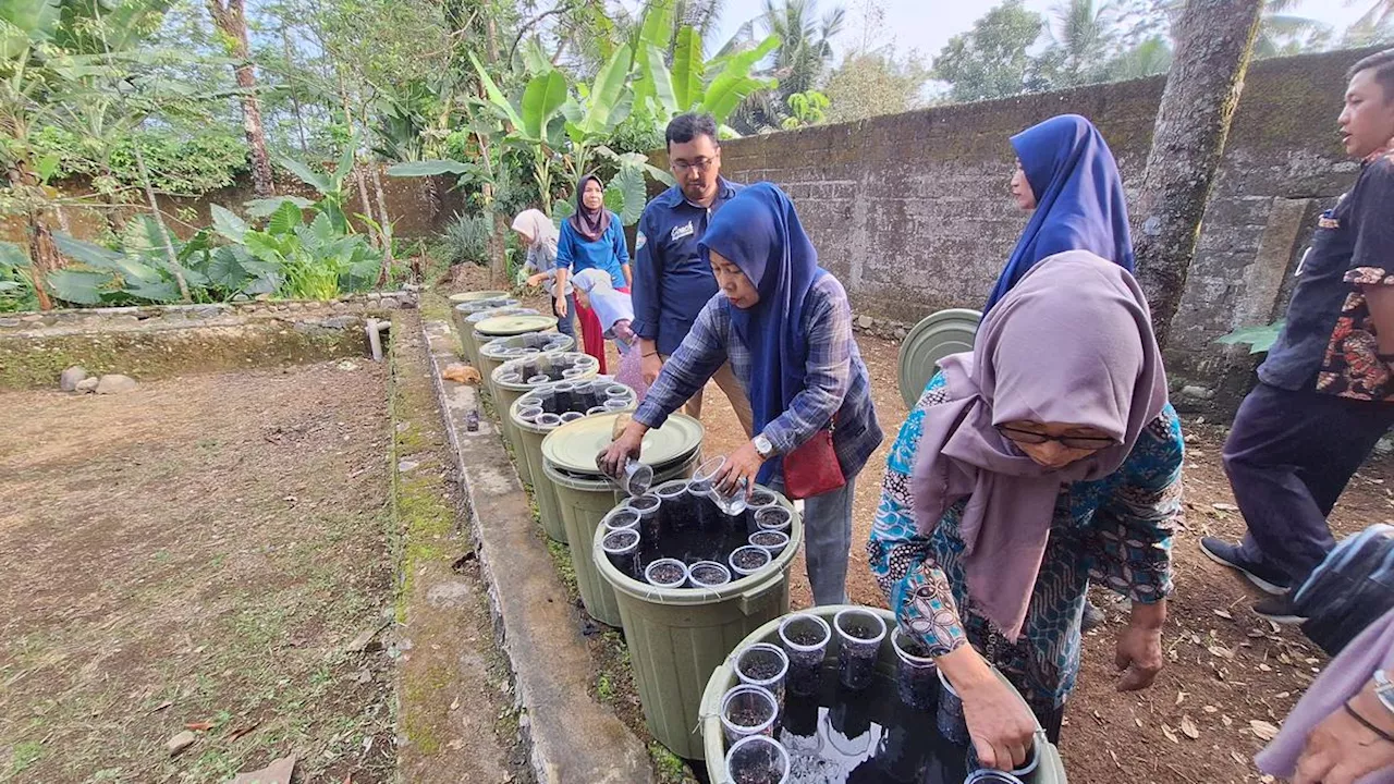 Budidaya Ikan Dalam Ember, Jaga Ketahanan Pangan Rumah Tangga