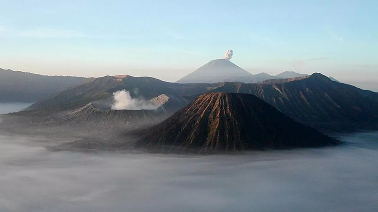 Savana Widodaren Gunung Bromo Kebakaran, Lokasi Wisata Masih Dibuka