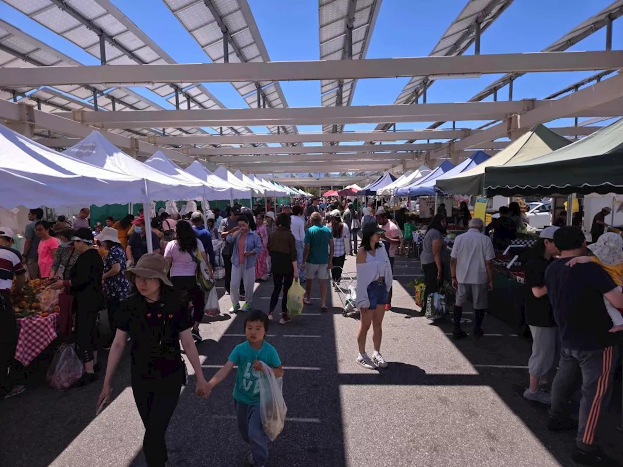 Cupertino’s farmers market left in limbo for the summer