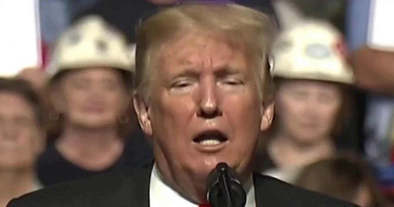 Trump rants and raves at Wisconsin rally about the border, radical left, sharks