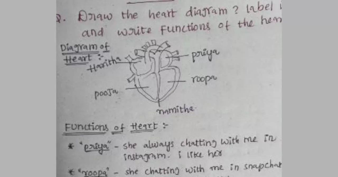 छात्र ने परीक्षा में बनाया दिल का डायग्राम, अंदर लिखे लड़कियों के नाम, देखकर टीचर के उड़े होश!