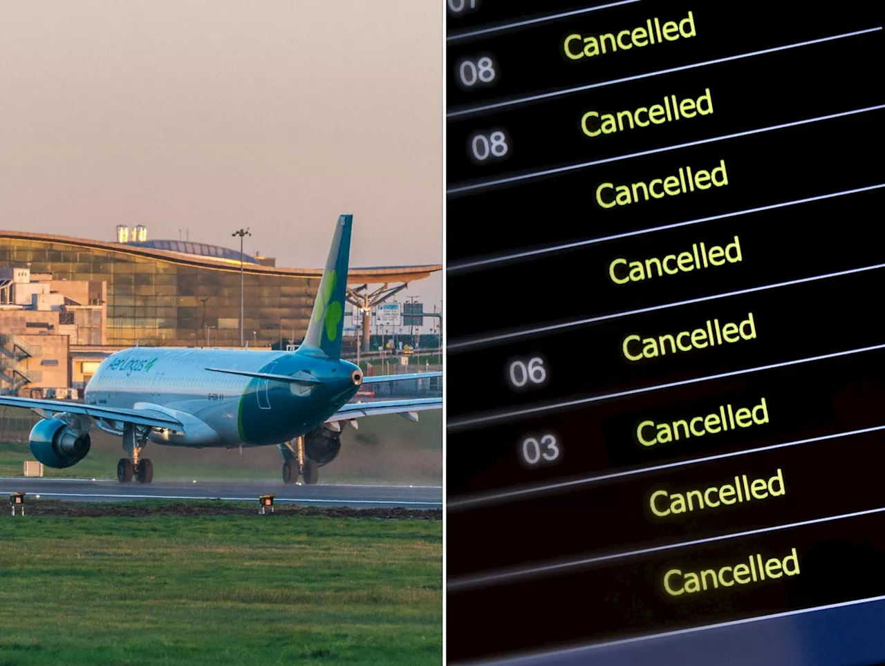 Aer Lingus to cancel 'up to 20% of flights' during pilots industrial action