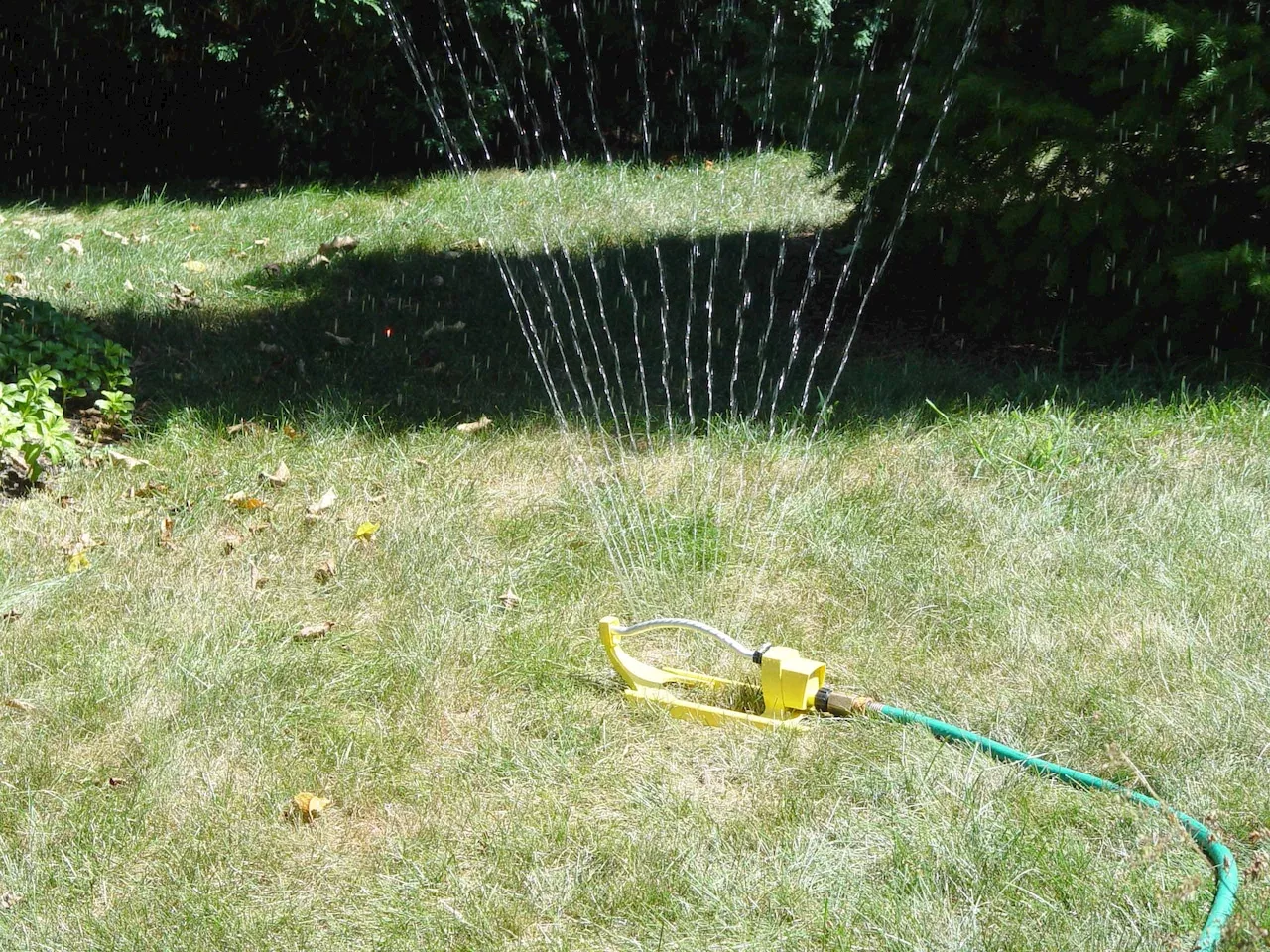 No mandatory water restrictions in N.J. despite ‘abnormally dry’ conditions