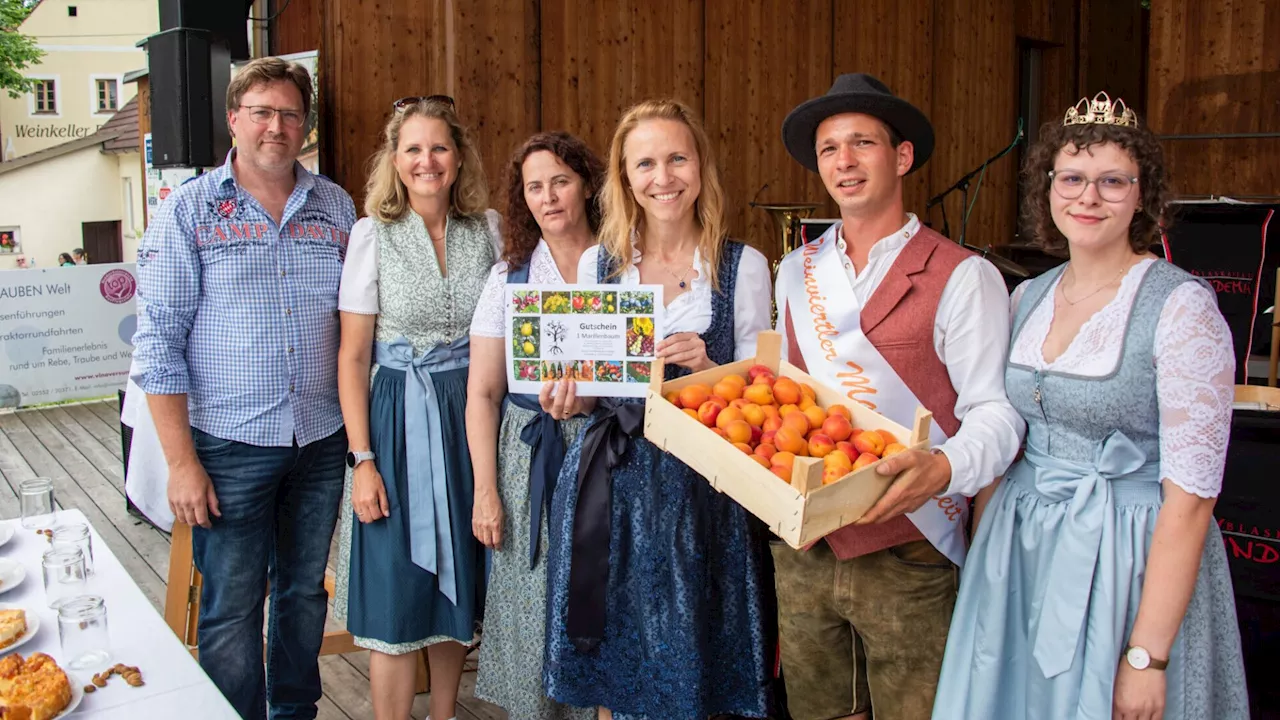 Pinienkerne, Topfen, Wein: Beim Marillenkuchen geht alles