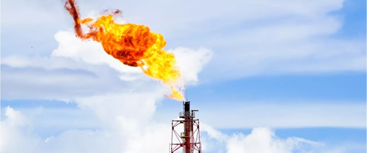 Oil Firms Intensified Gas Flaring to the Highest Level in Five Years in 2023