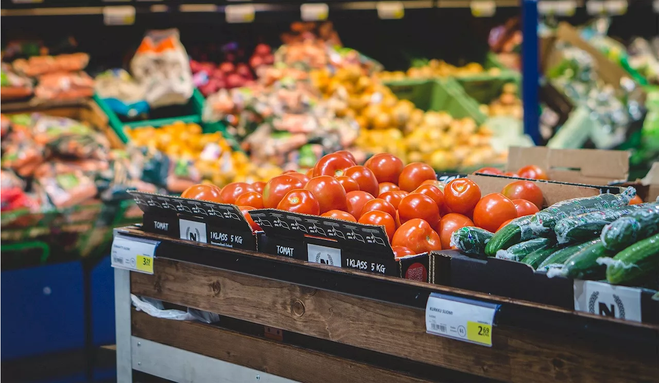 Greening the food supply chain: Developing sustainable food systems through interdisciplinary collaboration