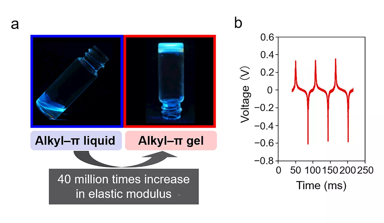 Researchers create power-generating, gel electret-based device for wearable sensors