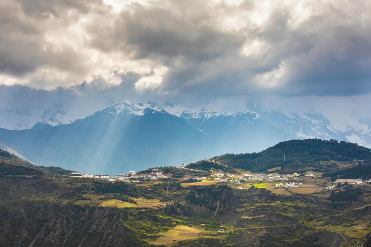 Researchers reveal effects of climate change on above- and belowground biomass distribution on Tibetan plateau