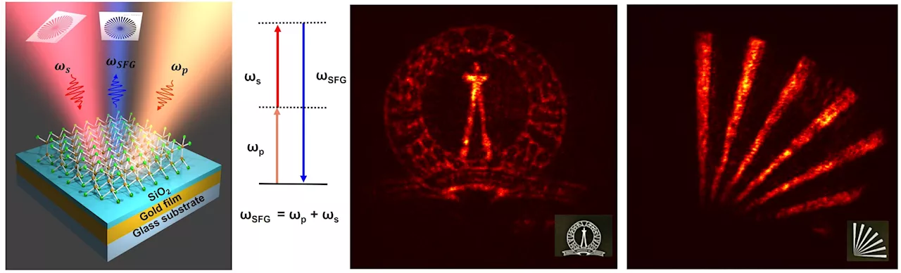 Turning infrared light visible: New device uses 2D material to up-convert infrared light