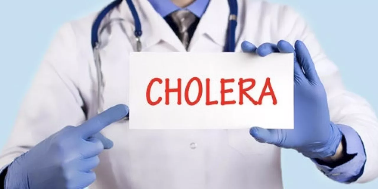 Cholera Outbreak: Ogun announces preventive measures in schools