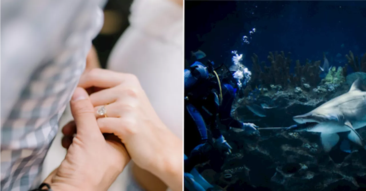 Aquaria KLCC's Proposal Package Lets You Pop the Question While Swimming With Sharks