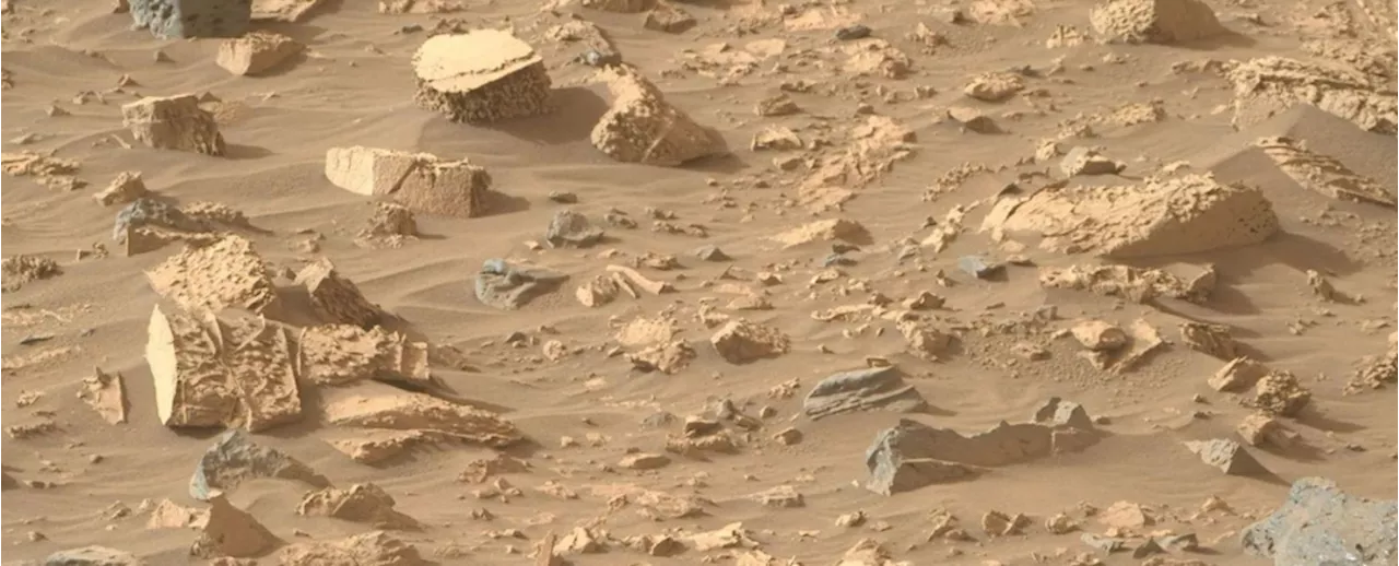 Perseverance Finds Strange 'Popcorn Rocks' on Mars, Suggesting Past Water Flow