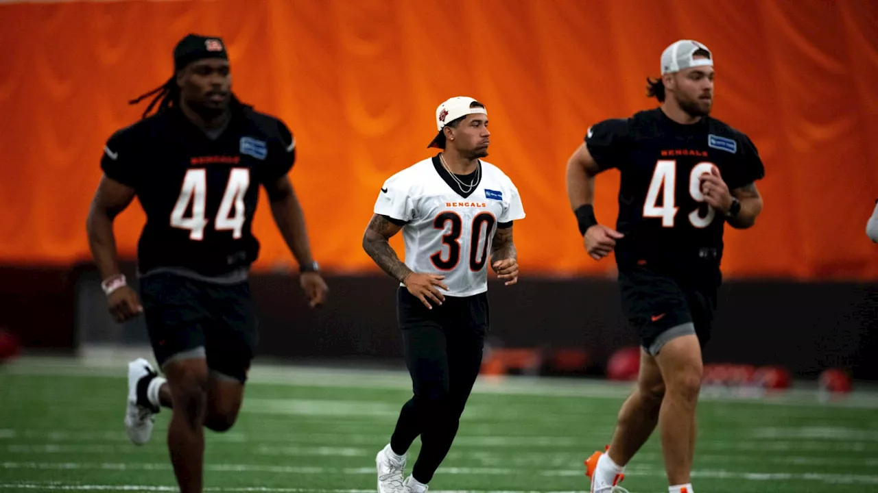 PFF Ranks Bengals' Running Back Room Among NFL's Bottom Three Units