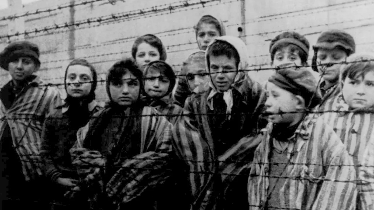 Pupils to 'talk' to 3D Holocaust survivors with artificial intelligence technology