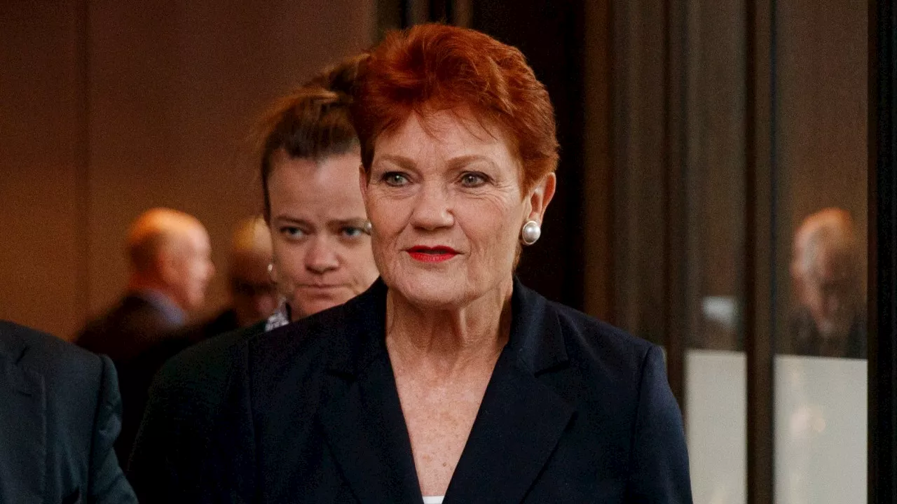 ‘Dug his own grave’: Pauline Hanson’s extraordinary interjection in Qld election