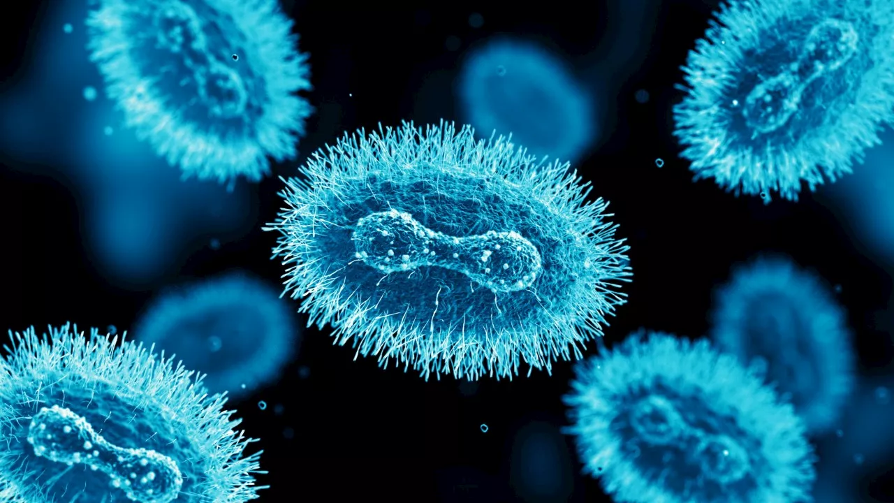 Major warning over highly infectious virus in one Aussie state