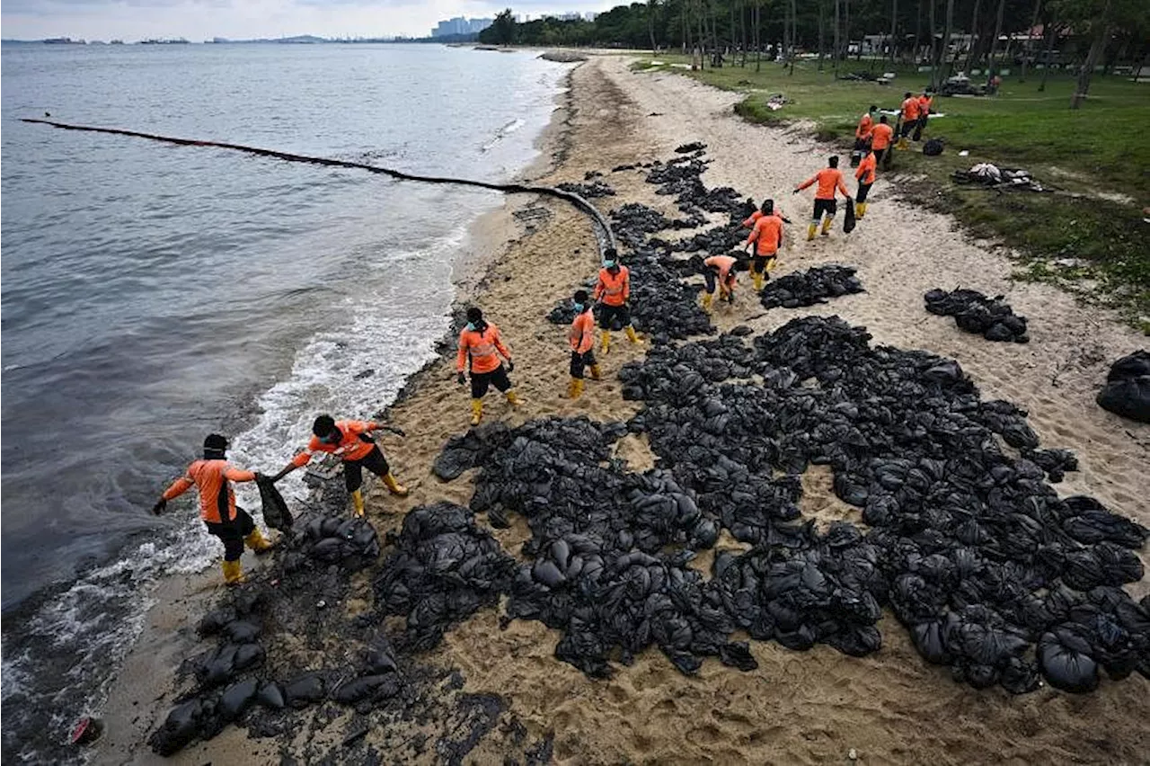 Beaches at several southern islands, most of East Coast Park and Tanah Merah cleared of oil