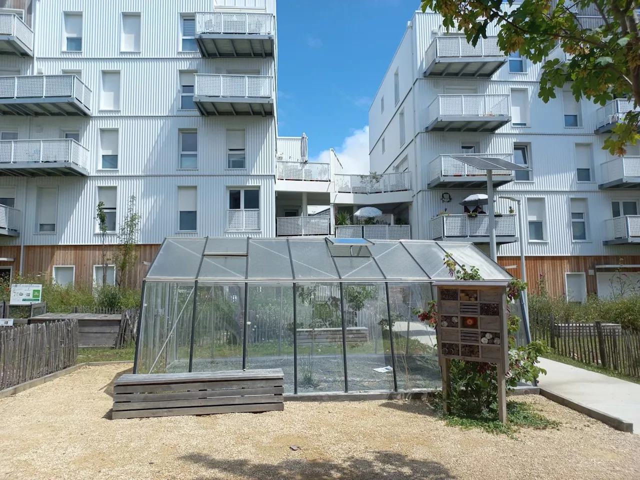 La Rochelle Agglo : l’agriculture urbaine biologique en terrain fertile à Lagord