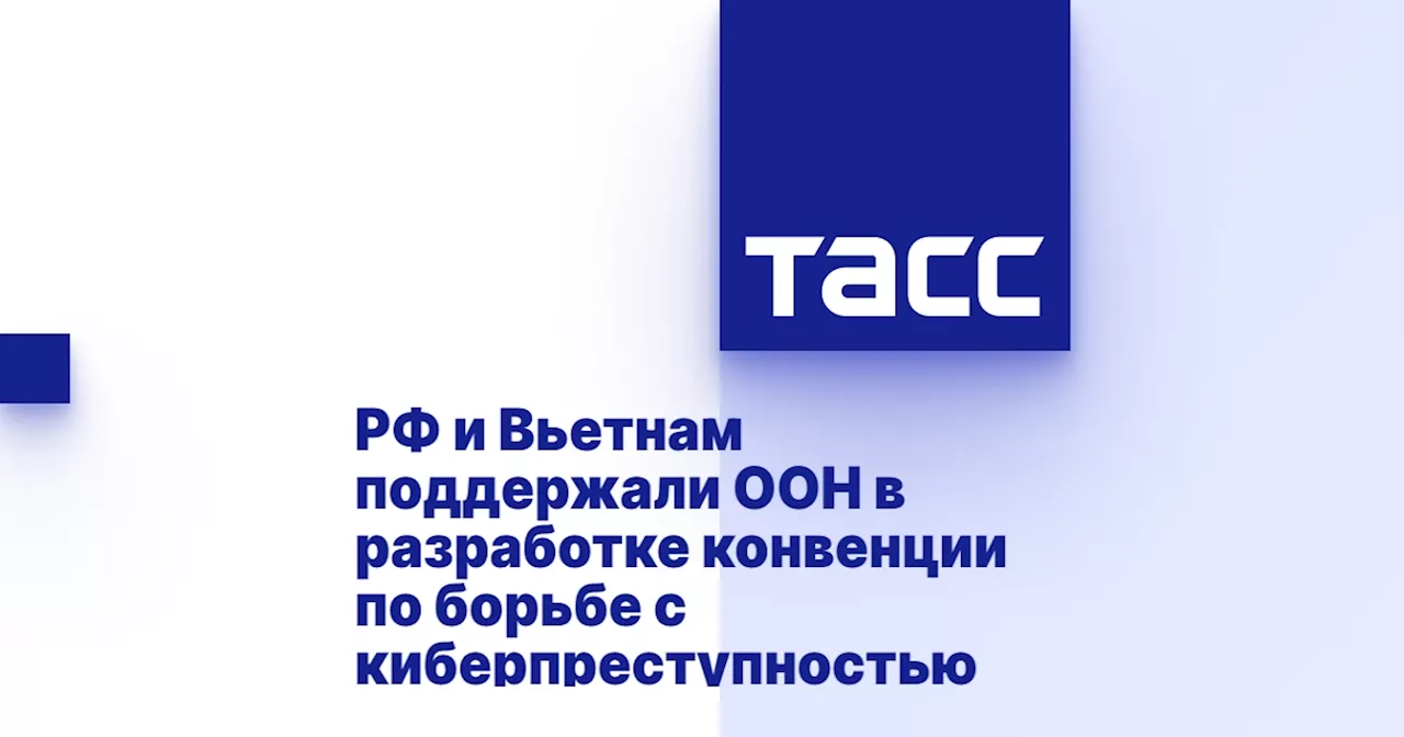 РФ и Вьетнам поддержали ООН в разработке конвенции по борьбе с киберпреступностью