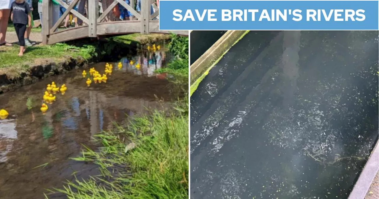 Thames Water pumps sewage into rare chalk stream for five months straight