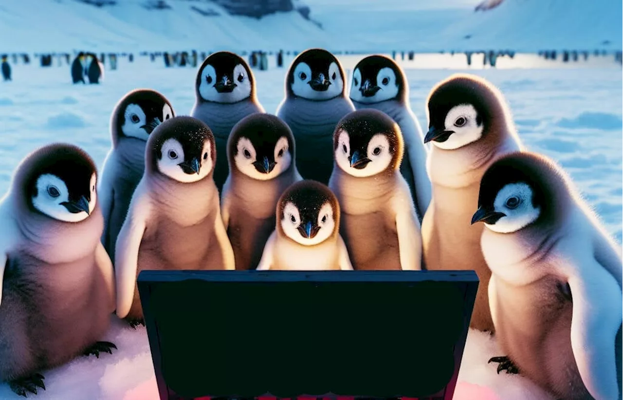 systemd 256.1: Now slightly less likely to delete /home