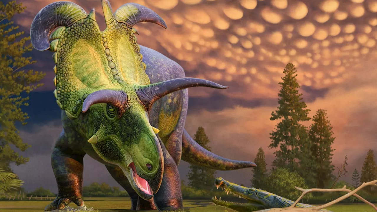 Fearsome new dinosaur discovered with FOUR colossal blade-like horns that roamed Earth 78million years ago...