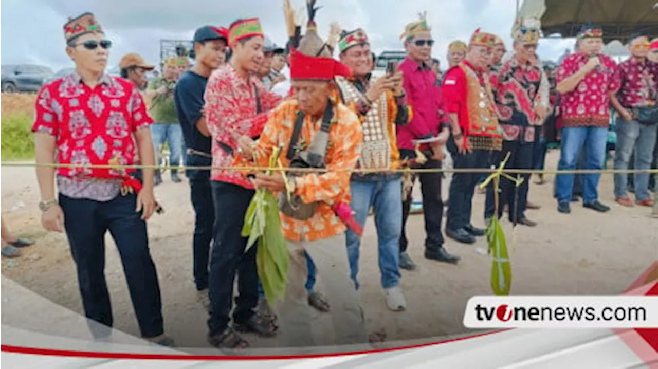 Terbukti Langgar Adat Suku Dayak, PBS Di Pasang Hinting Adat