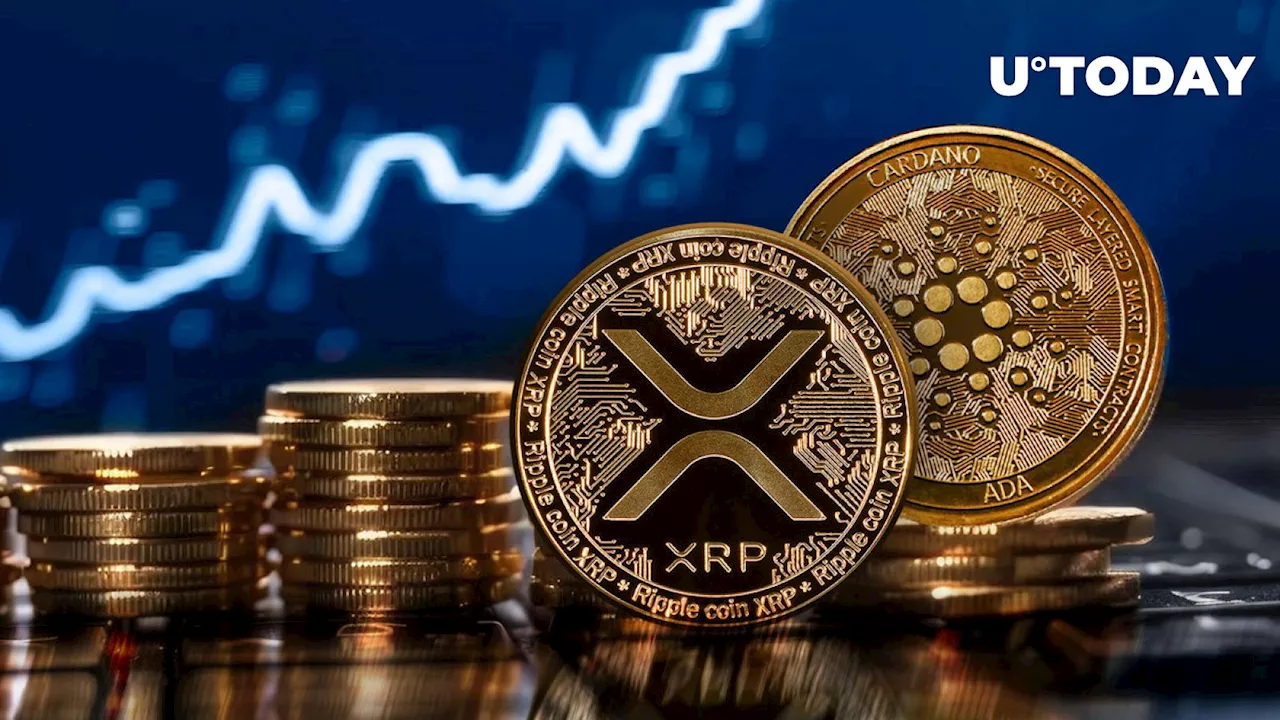 XRP, ADA: Good Sign for Potential Bulls, 'Rocket Fuel' Could Be Here: Report