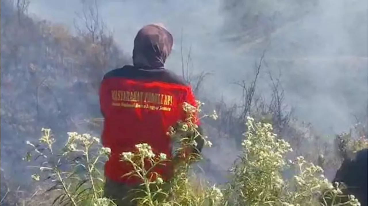 Kebakaran Gunung Bromo Berhasil Dipadamkan, Luas Terdampak Masih Diidentifikasi