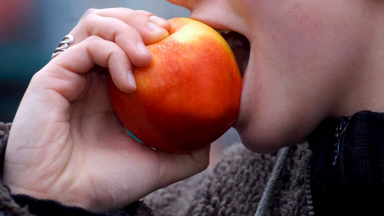 Wie eine gesunde Ernährung Langlebigkeit fördern kann