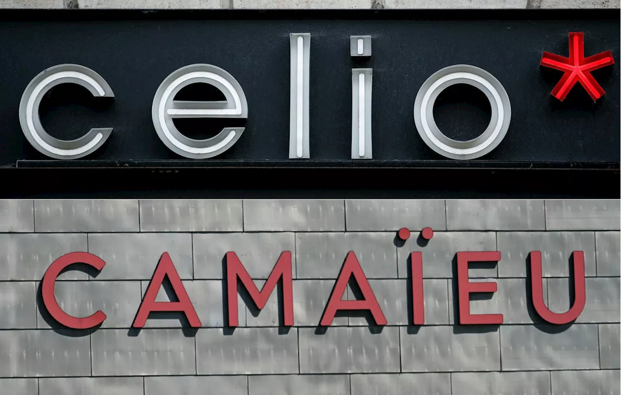 Camaïeu bientôt de retour dans les boutiques Celio, comme l’avait annoncé Lena Situations