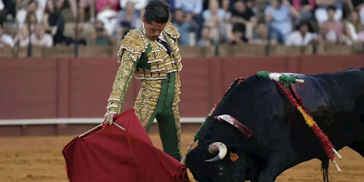 Imágenes de la novillada en la Maestranza de Sevilla de Villita, David López y Aarón Infantes