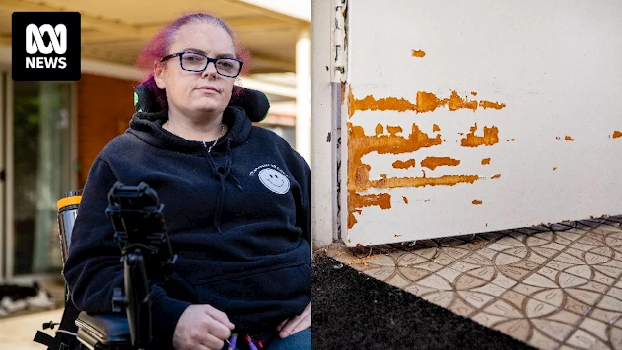 Christie Lewis facing big damage repair bill because her rental home wasn't big enough for her wheelchair