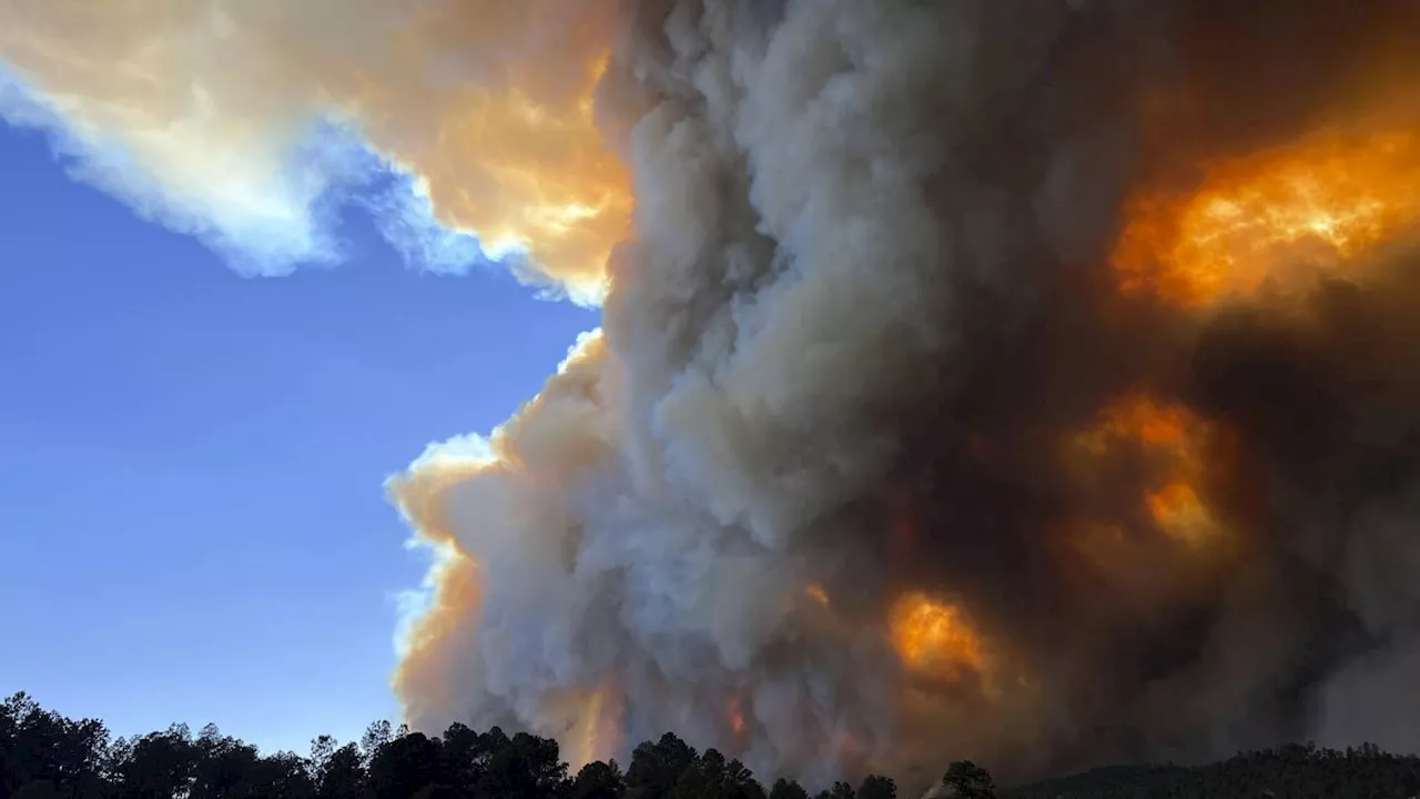 Escape from killer New Mexico wildfire was 'absolute sheer terror,’ says woman who fled the flames