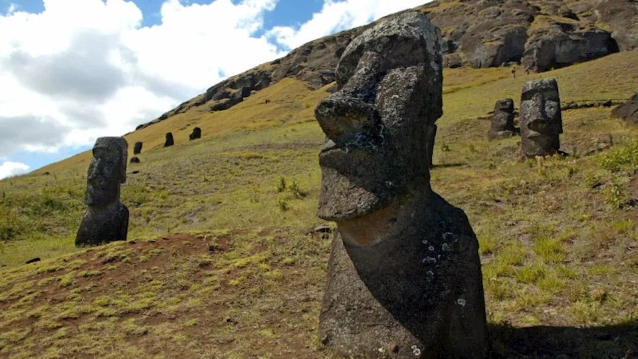 Satellite imagery may provide a missing puzzle piece in Easter Island saga