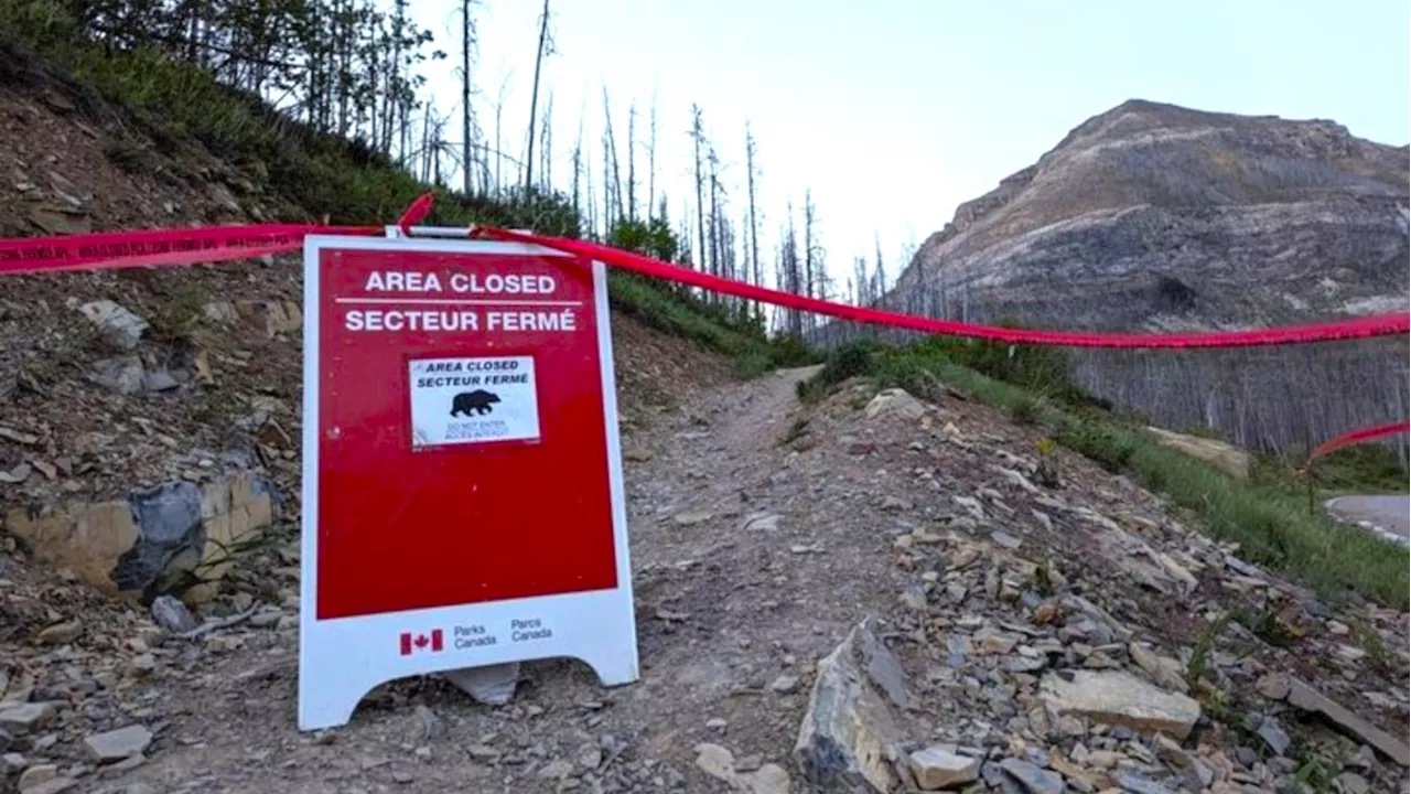 Hikers injured in Waterton bear attack out of hospital, bear not yet located