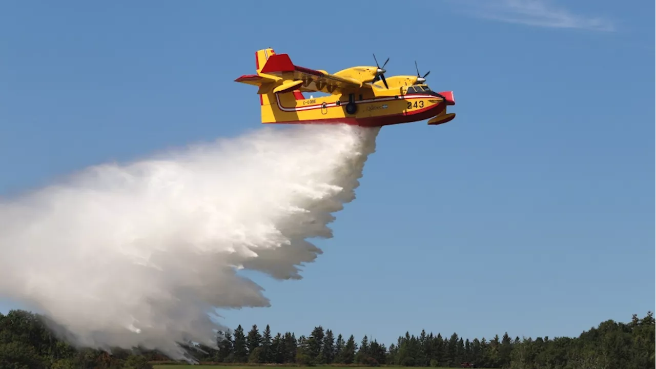 Newfoundland and Labrador getting help from Quebec, Ontario to battle wildfires