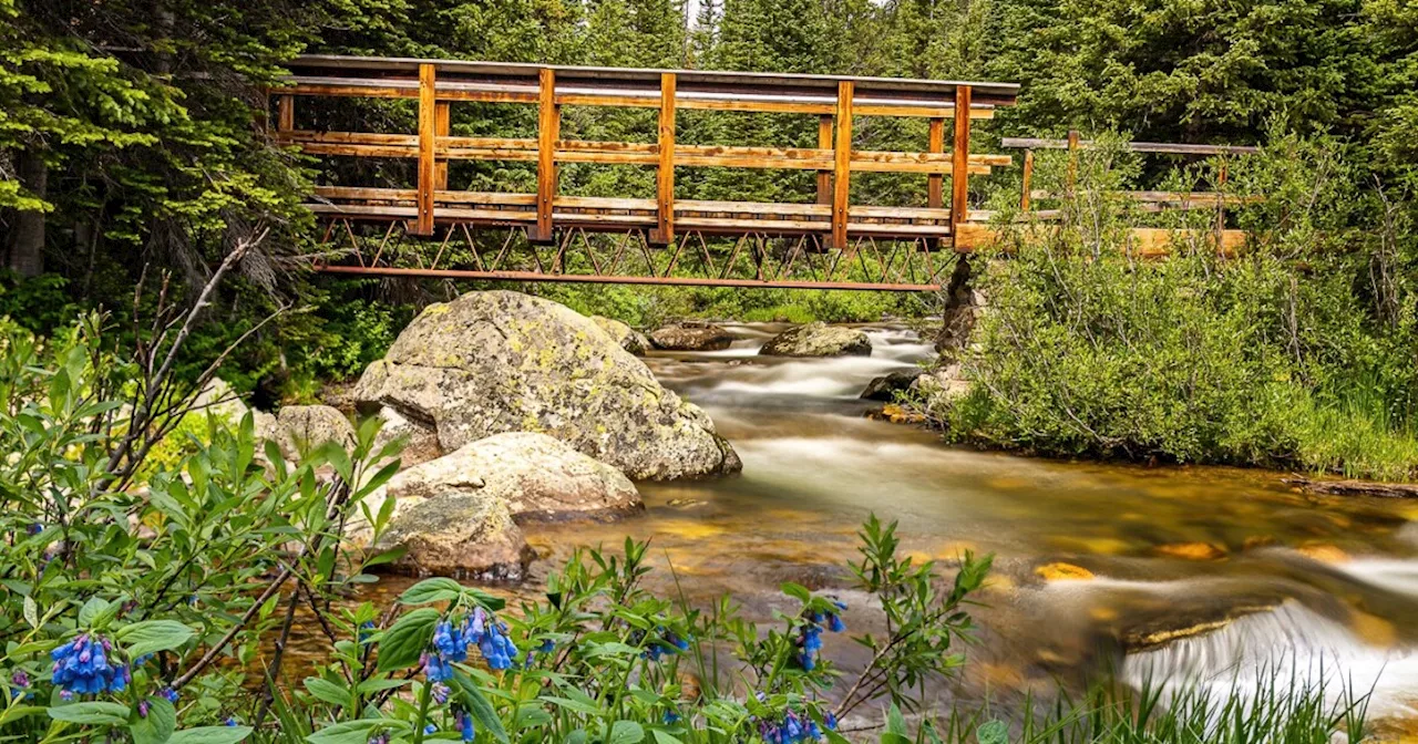 North Saint Vrain Creek, Saint Vrain Creek tubing ban lifts Thursday