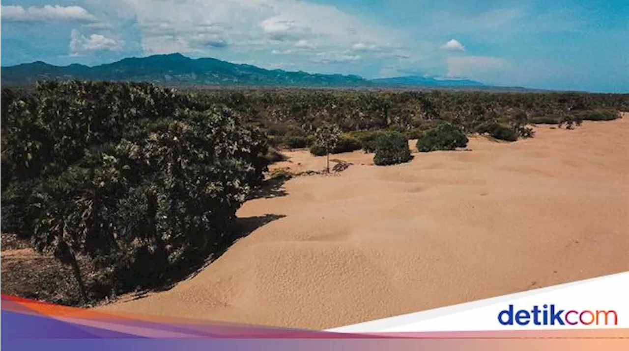 Kapal Asing Bolak-balik Keruk Pasir Laut, KKP Ungkap Modus Liciknya