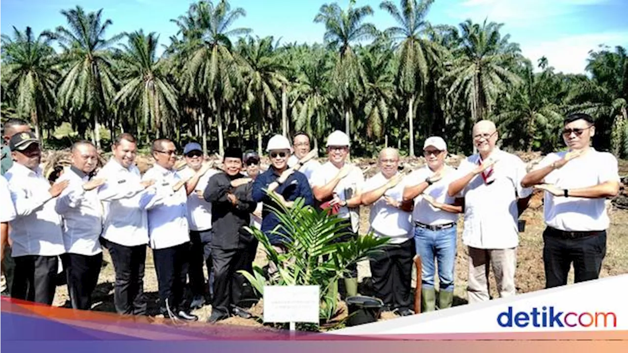 PTPN IV PalmCo Gercep Tanam Ulang 107 Ha Kebun Sawit