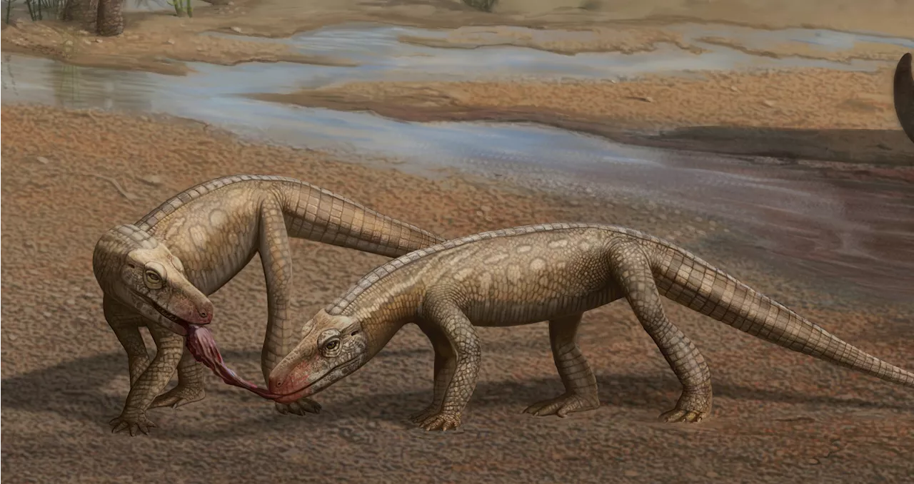 First Ancient Crocodile Relative from 237 Million Years Ago Was Unearthed in Brazil