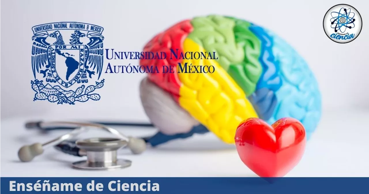 UNAM lanzó curso virtual sobre SALUD MENTAL, ¡100% GRATUITO!