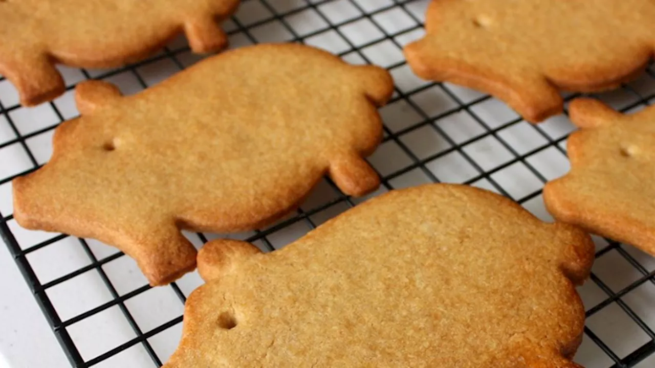 Puerquitos y Coyotas, las Galletas Mexicanas entre las Mejores 50 del Mundo