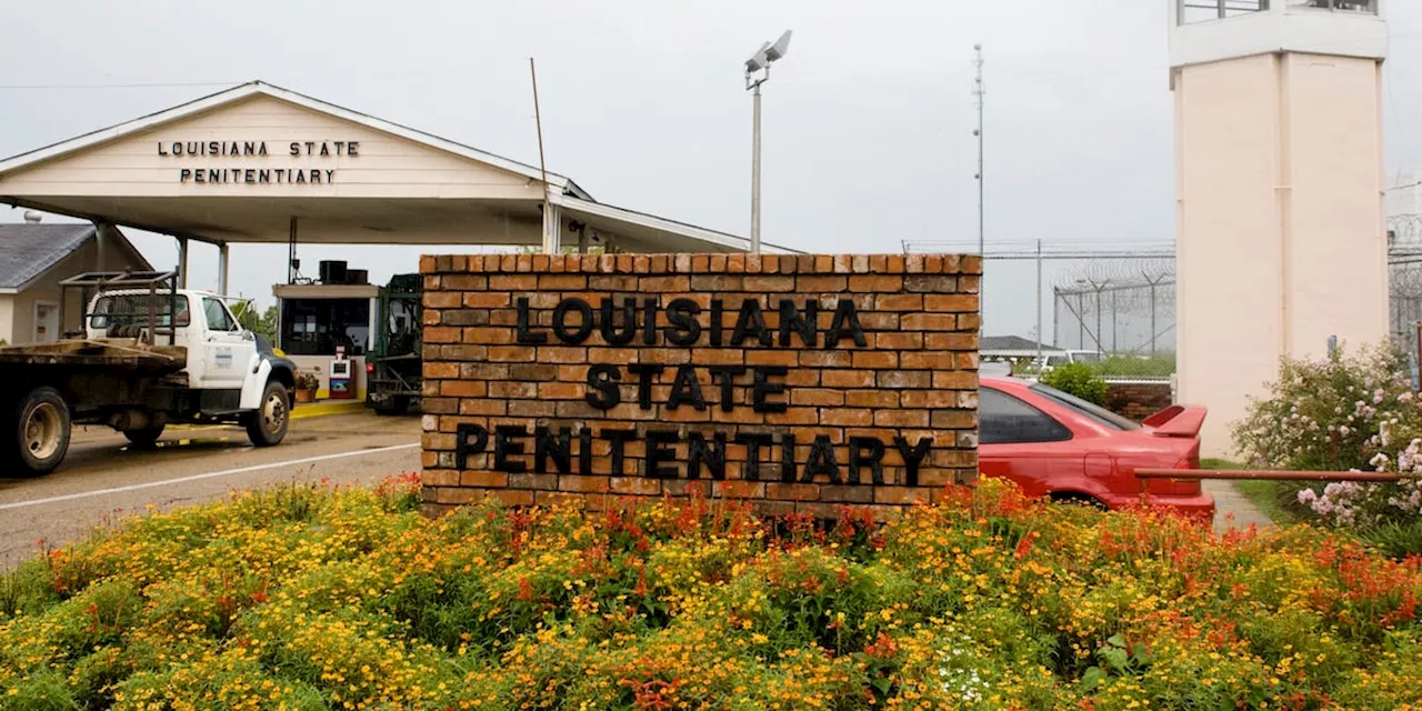 Louisiana becomes first state to allow surgical castration as punishment for child molesters